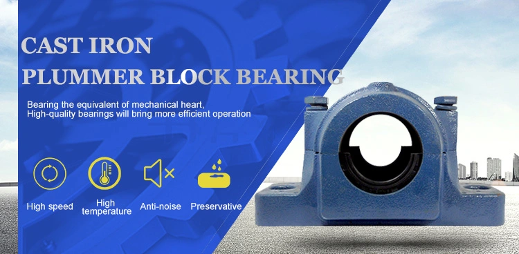 High Quality Pillow Plummer Block Bearing Snl Series