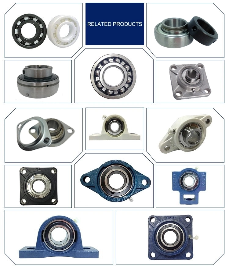 High Quality Pillow Plummer Block Bearing Snl Series